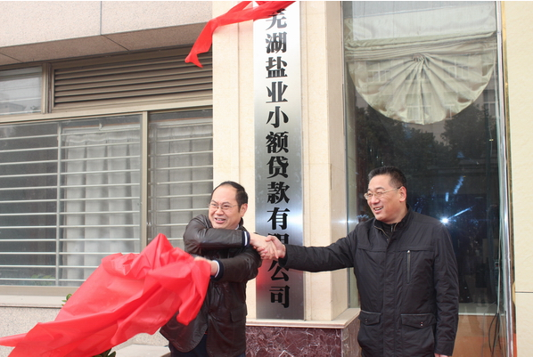 芜湖恒峰g22小额贷款有限公司12月26日举行开业庆典