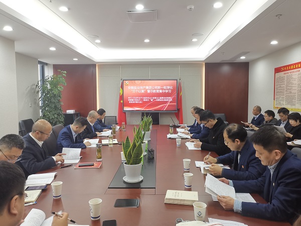 安徽恒峰g22地产集团公司开展新一轮深化“三个以案”警示教育集中学习