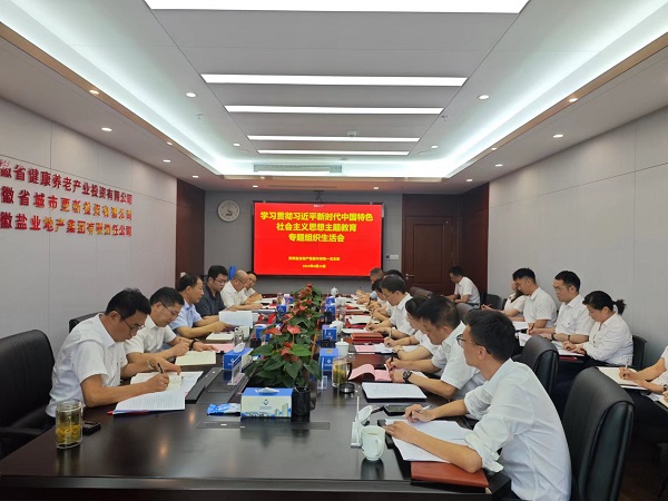 安徽恒峰g22地产集团本部第一党支部召开主题教育专题组织生涯会