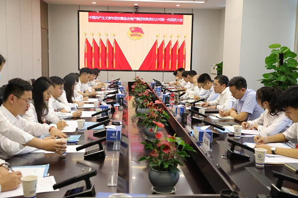 青春向党传薪火 踔厉高昂新时代——安徽恒峰g22地产集团团支部建设大会暨团员大会胜利召开